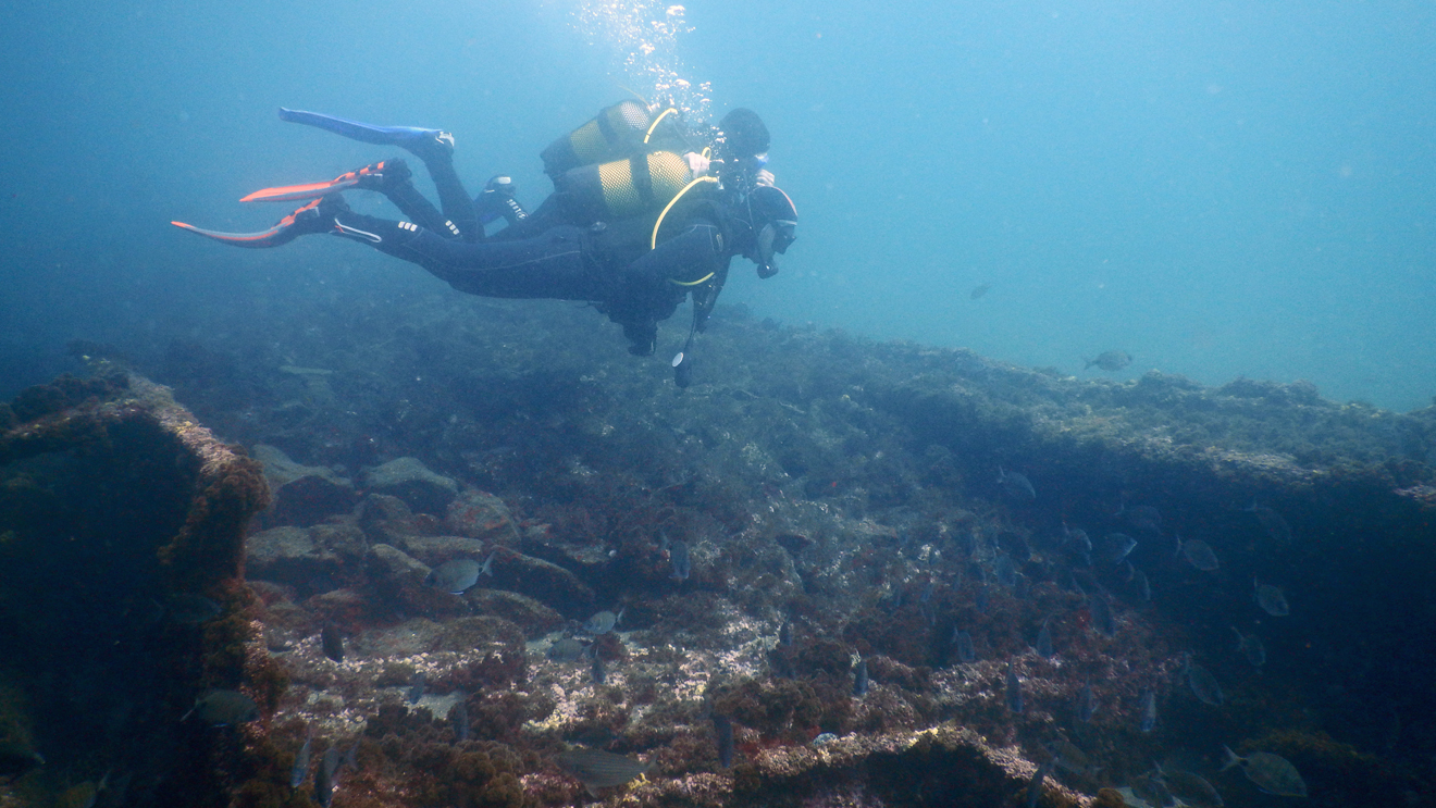 Basic Diver Program (Pool and Ocean)