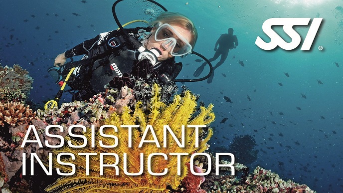Assistente de Instrutor