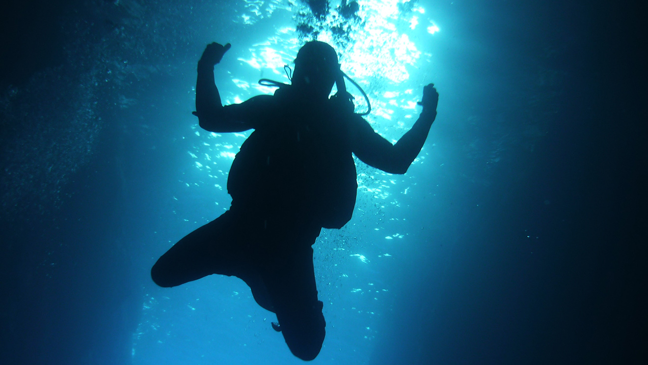 Single Fun Dive - One Dive