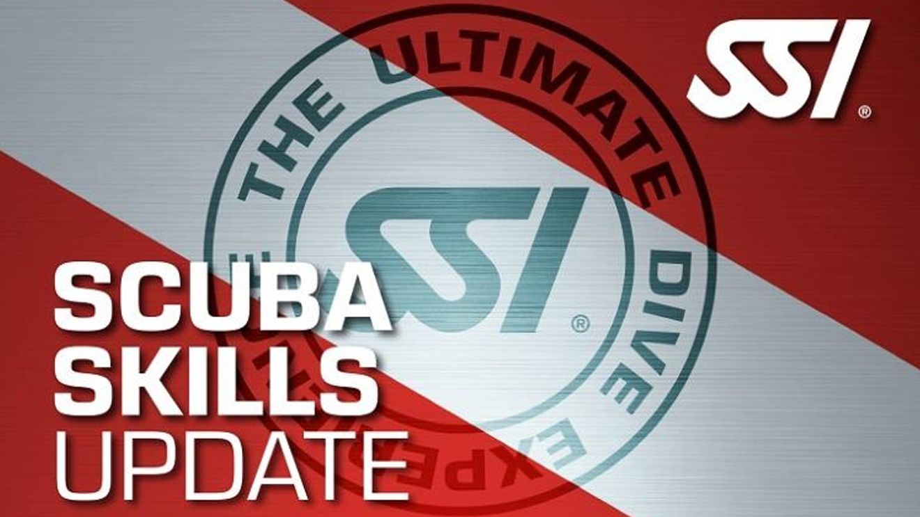 Scuba Skills Update