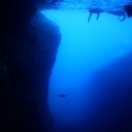 DSCN2361
